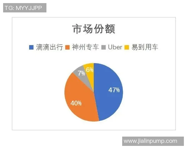 重庆网球队的控制策略与发展现状深度解析